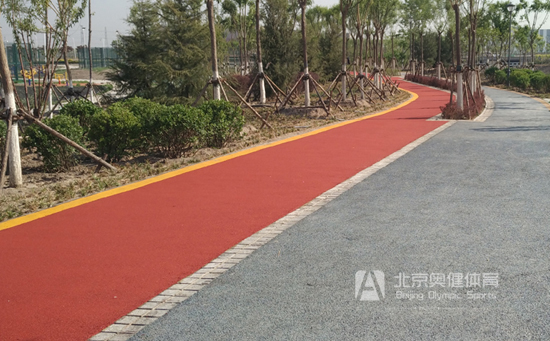 天津塑胶颗粒健身步道施工案例塘沽公园