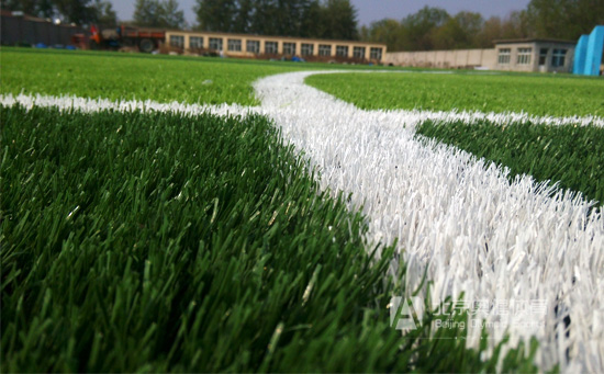 足球场场地线白草