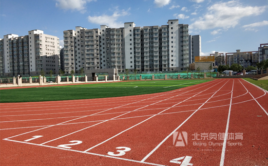 学校标准塑胶跑道是指哪些类型跑道